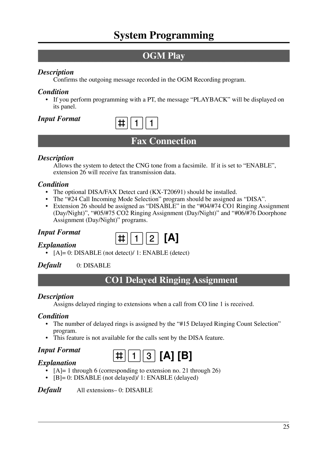 Panasonic KX-T206E manual OGM Play, CO1 Delayed Ringing Assignment 