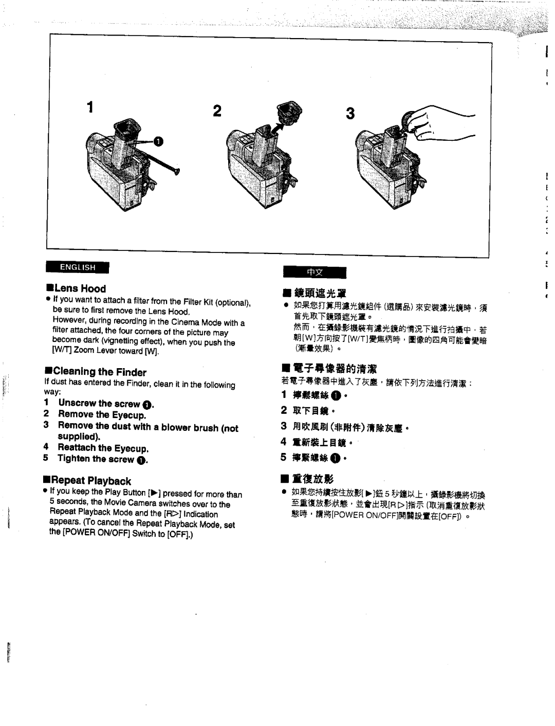 Panasonic NV-DS1EN manual 