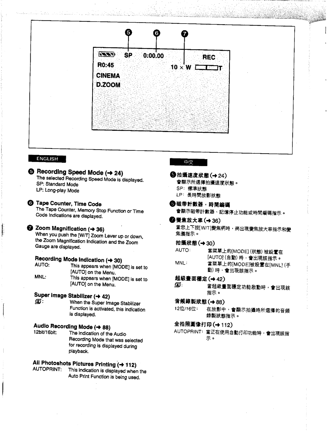 Panasonic NV-DS1EN manual 