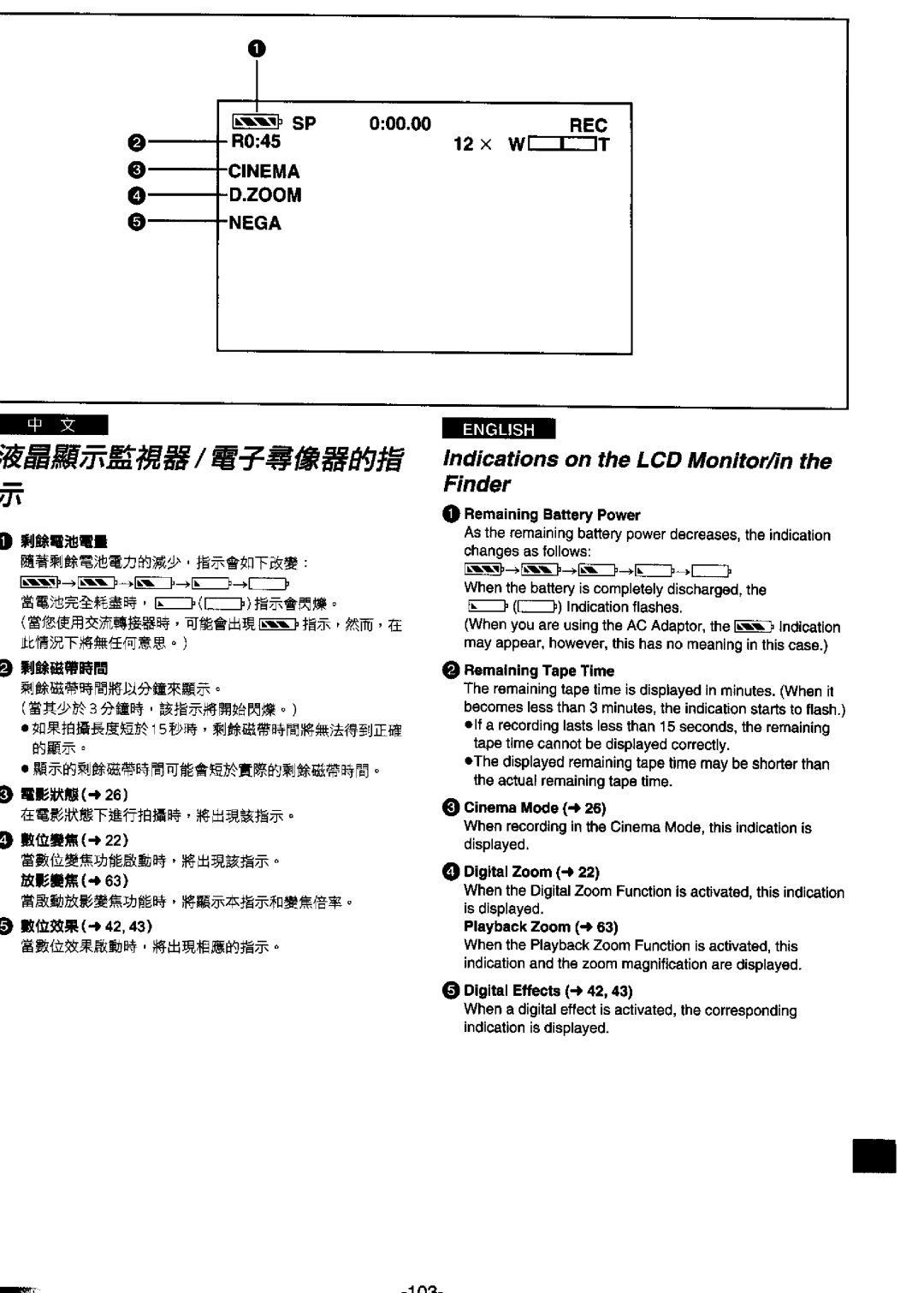 Panasonic NV-DS99ENA manual 