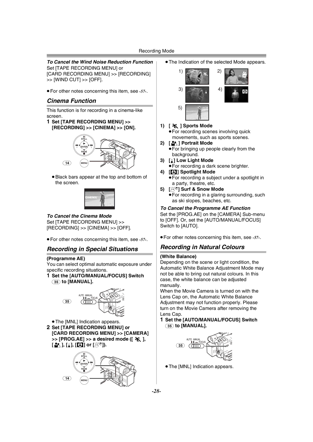 Panasonic NV-GS120GN operating instructions Cinema Function, Recording in Special Situations, Recording in Natural Colours 