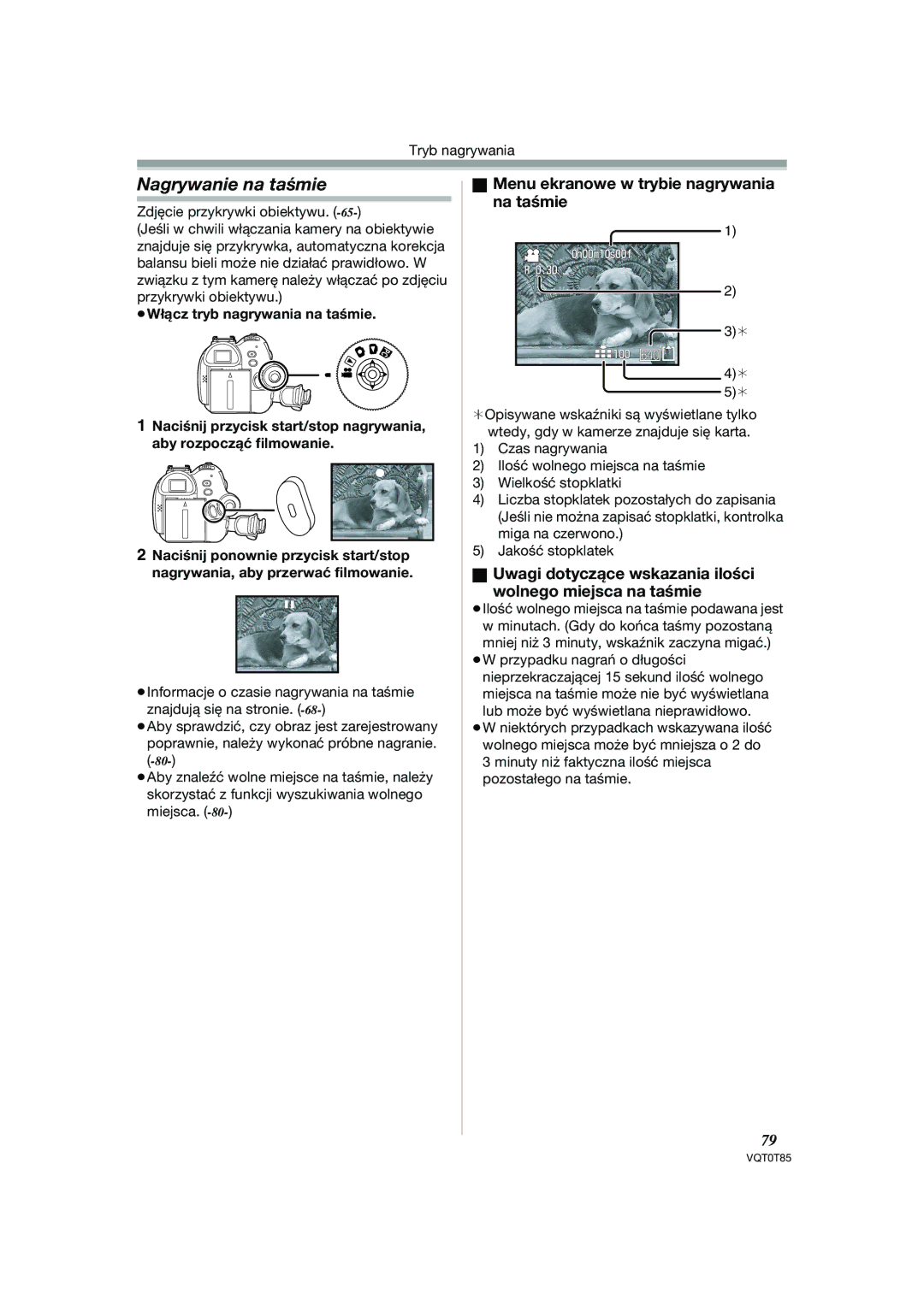 Panasonic NV-GS230EP Nagrywanie na taśmie, Menu ekranowe w trybie nagrywania na taśmie, ≥Włącz tryb nagrywania na taśmie 