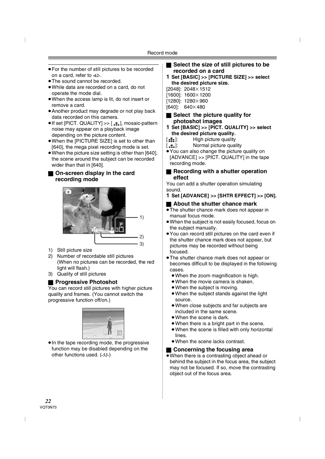 Panasonic NV-GS250GN On-screen display in the card recording mode, Progressive Photoshot, About the shutter chance mark 