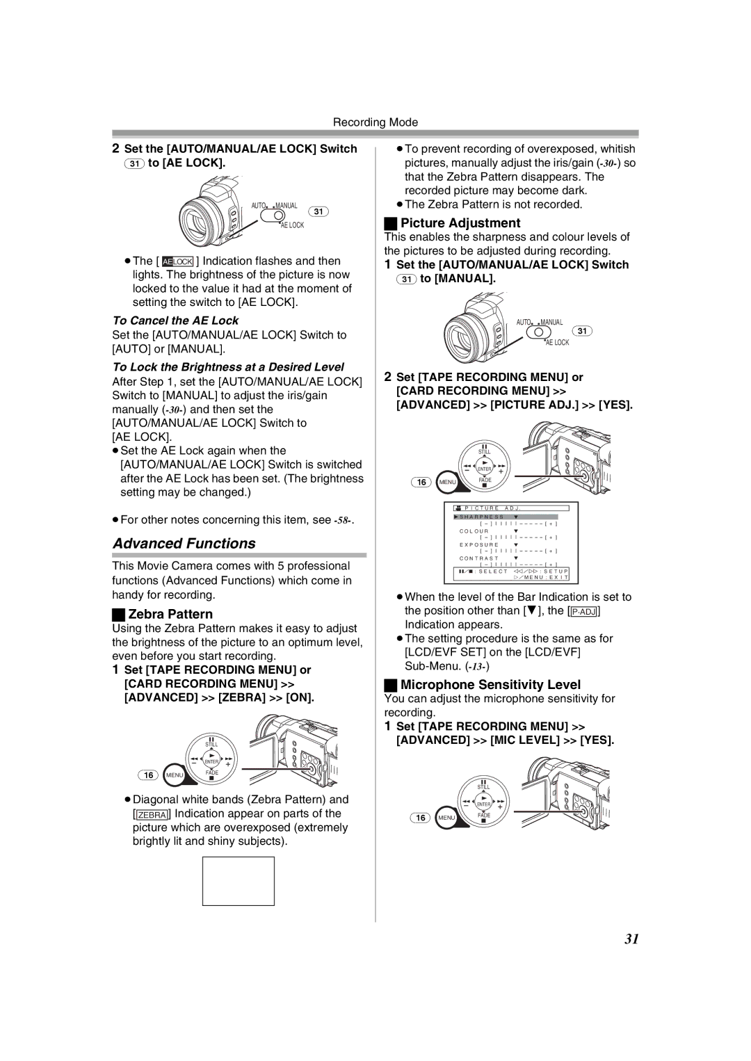 Panasonic NV-GS400GN Advanced Functions, Zebra Pattern, Picture Adjustment, Microphone Sensitivity Level 