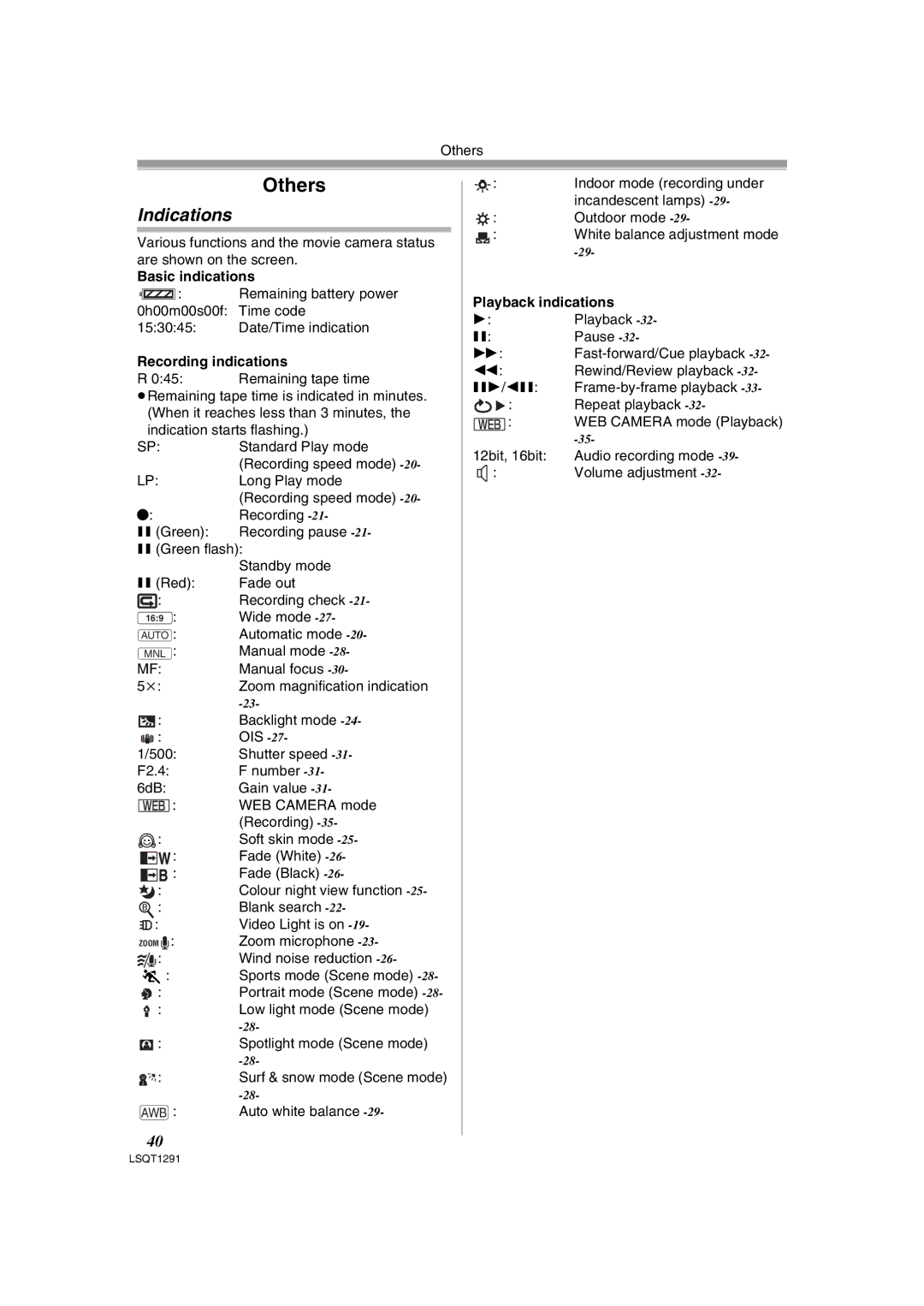 Panasonic NV-GS90 Others, Indications, Basic indications, Recording indications, Playback indications 