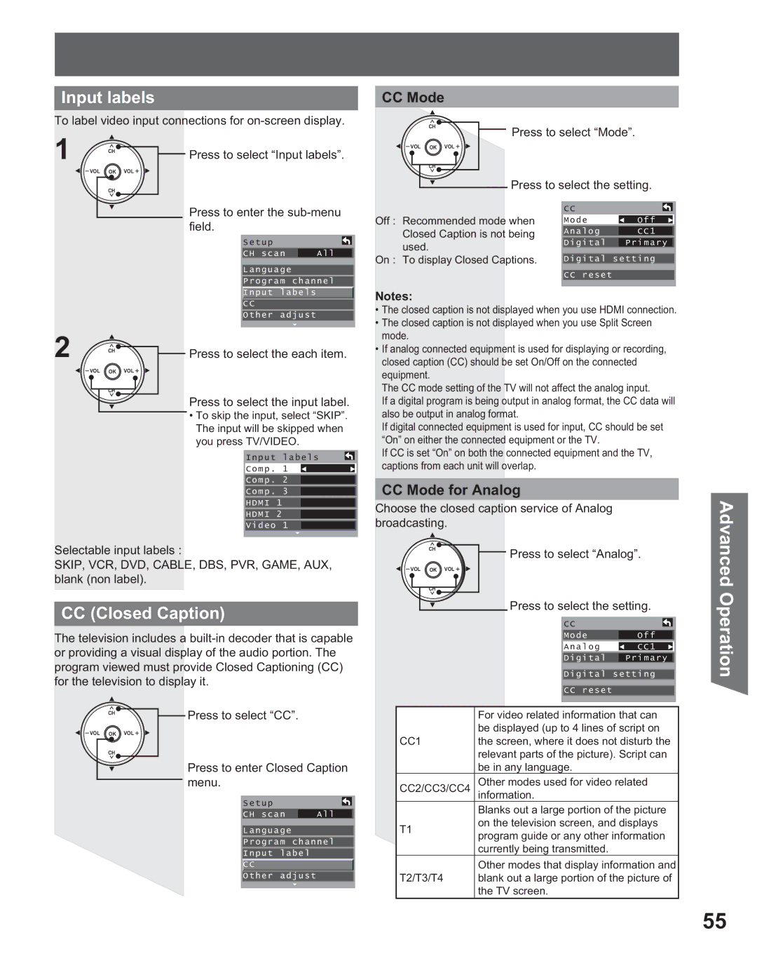Panasonic PT 56DLX25, PT 56DLX75 manual Input labels, CC Closed Caption, CC Mode for Analog 