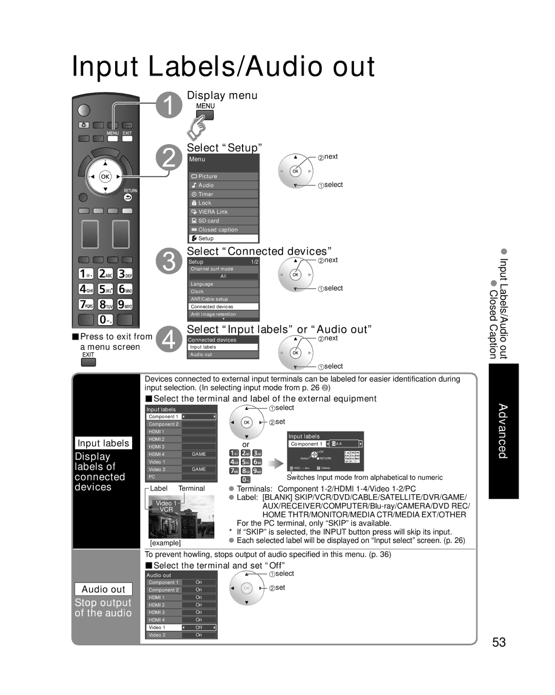 Panasonic TC-P58V10 Input Labels/Audio out, Select Connected devices, Select Input labels or Audio out, Display labels 