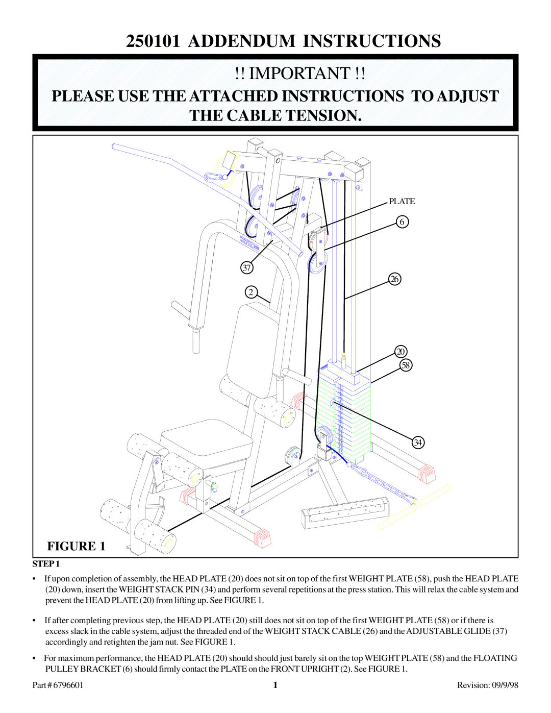 ParaBody 250101 manual Addendum Instructions 