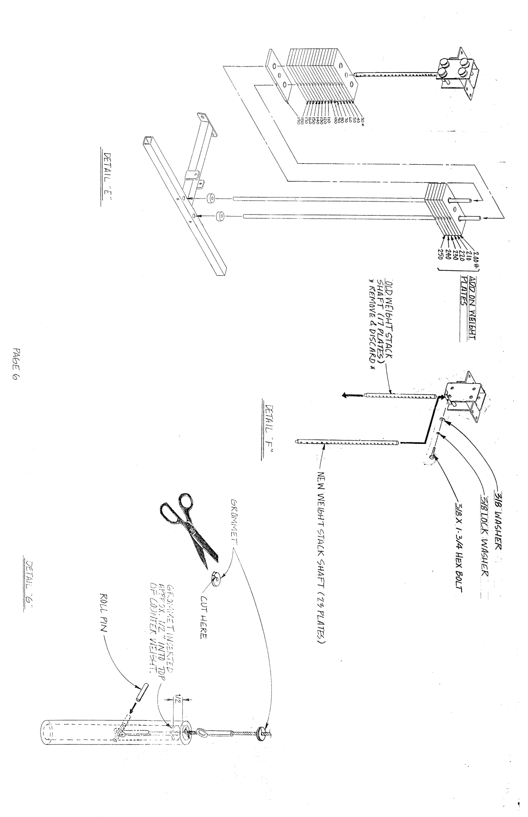 ParaBody PBF203B manual 