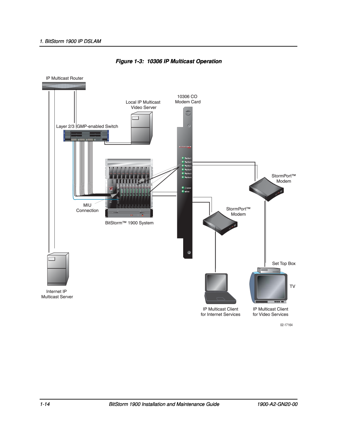 Paradyne 3 10306 IP Multicast Operation, BitStorm 1900 IP DSLAM, BitStorm 1900 Installation and Maintenance Guide, 1-14 