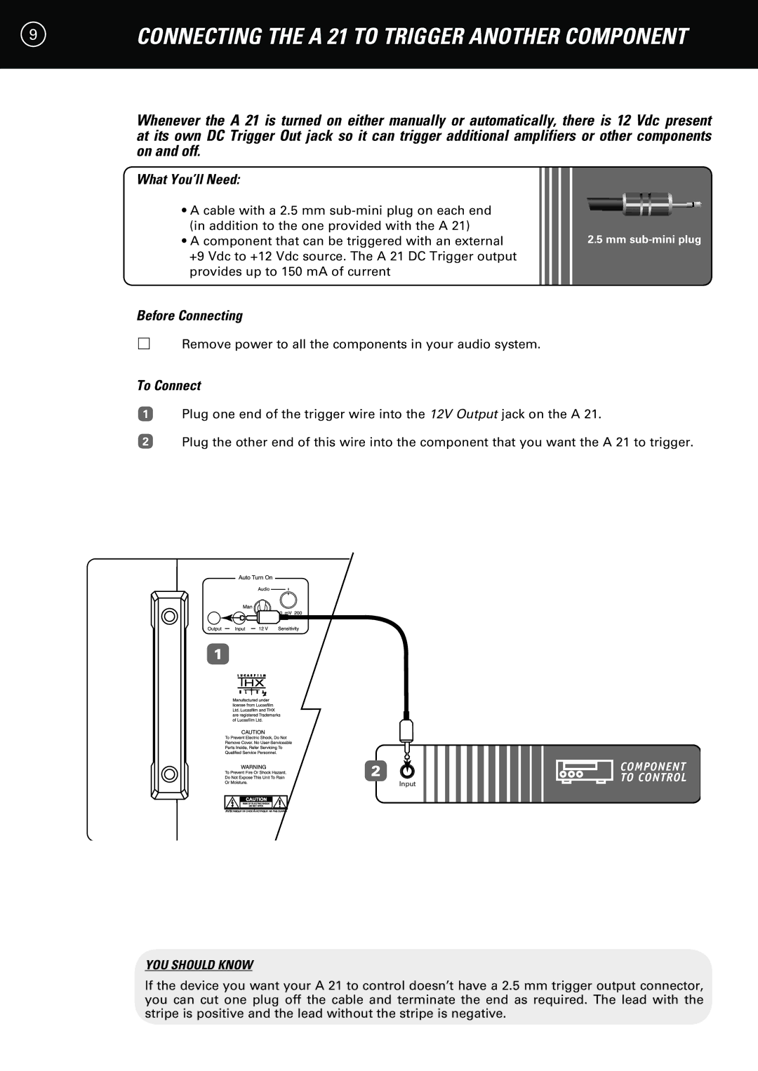 Parasound A 21 manual Connecting the a 21 to Trigger Another Component 