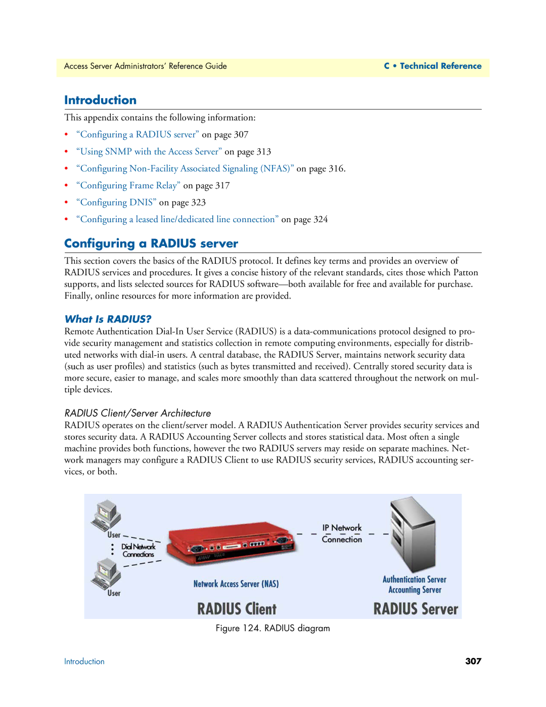 Patton electronic 29XX manual Configuring a Radius server, What Is RADIUS?, Radius Client/Server Architecture 