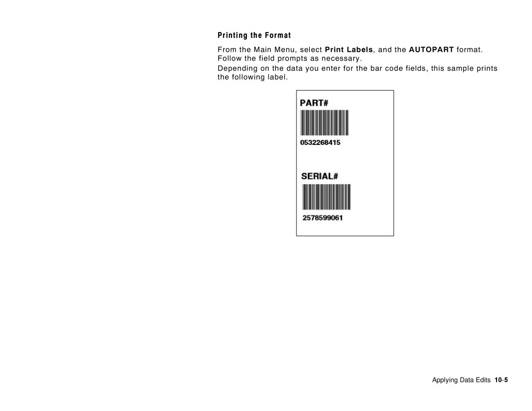 Paxar 6035 manual Printing the Format 