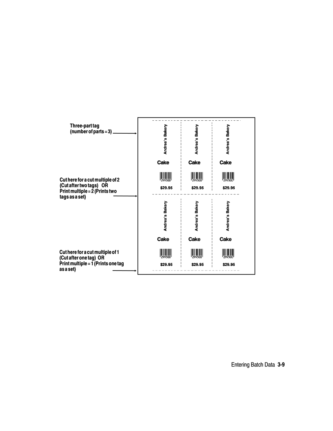 Paxar 939 manual Print multiple = 1 Prints one tag as a set 