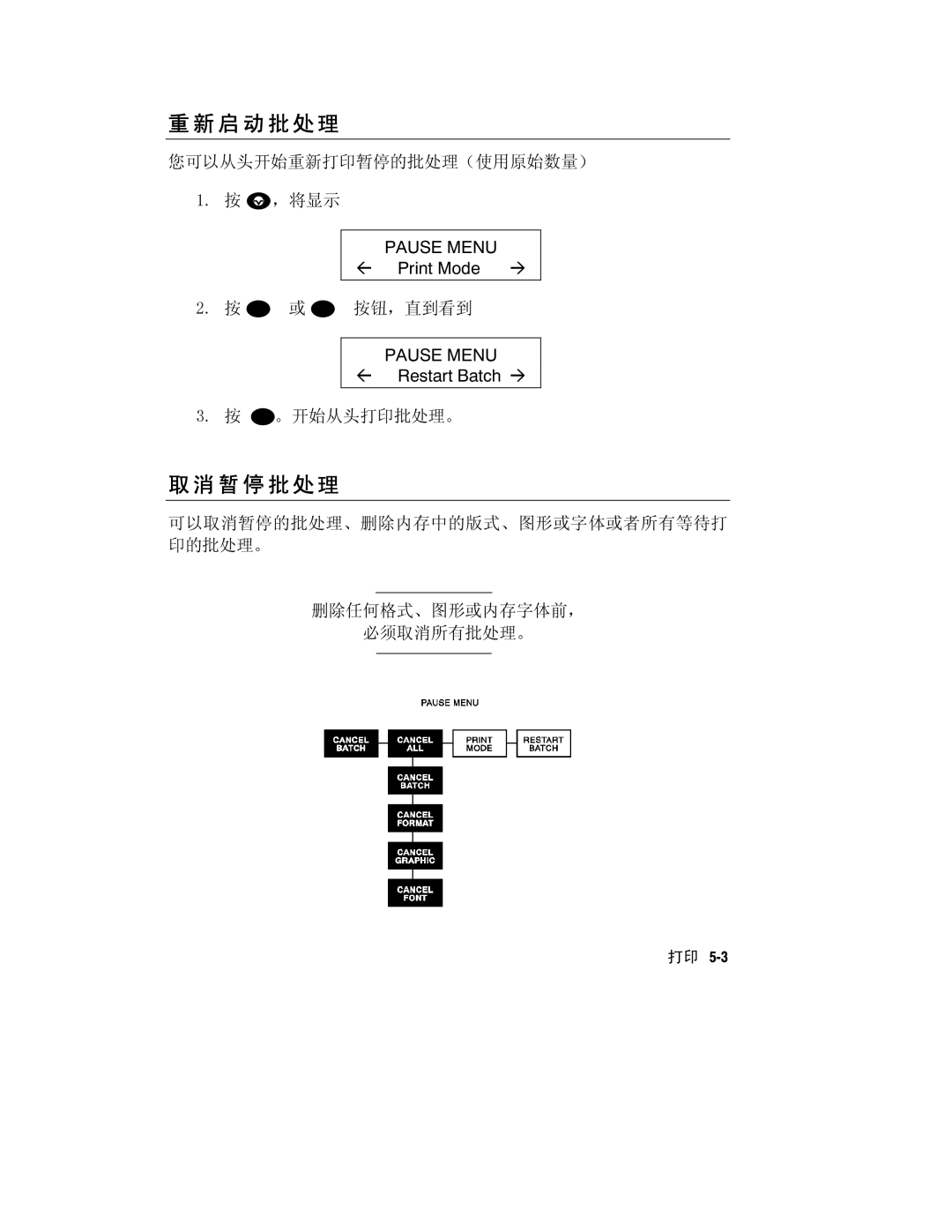 Paxar Monarch 9800 manual 启 动 批 处 理, 暂 停 批 处 理 