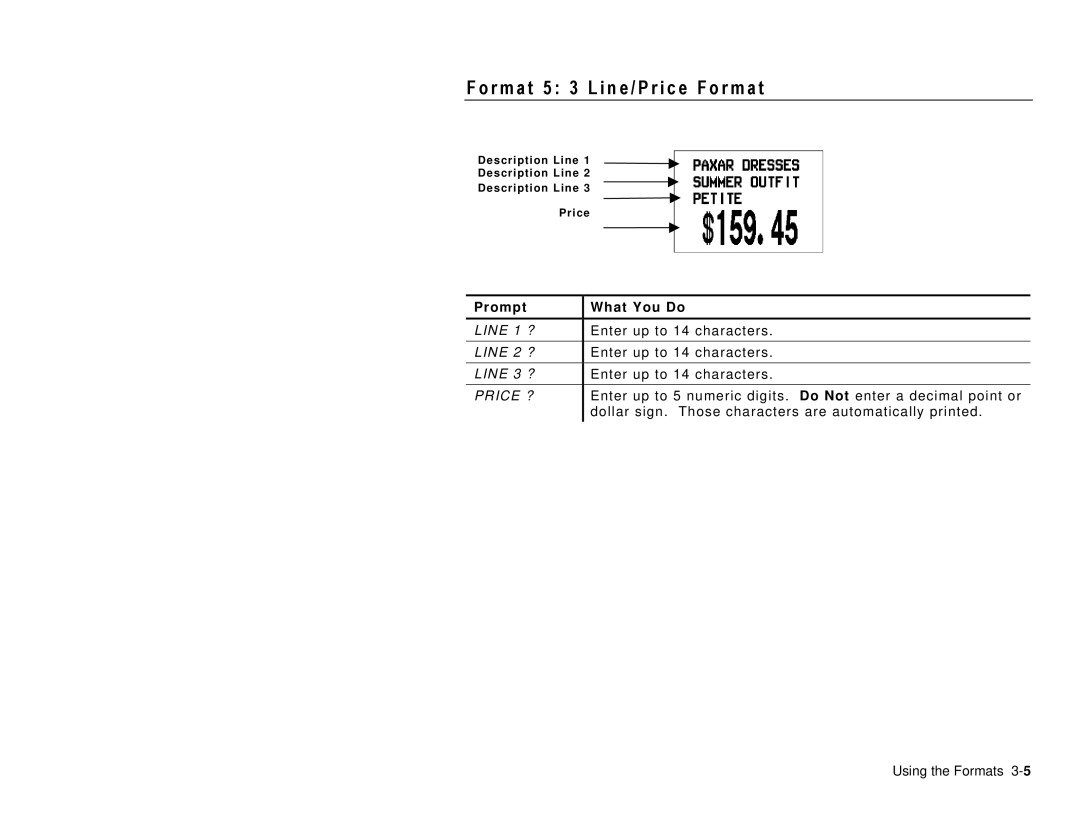 Paxar TC6032DBFFUM manual R m a t 5 3 L i n e / P r i c e F o r m a t 