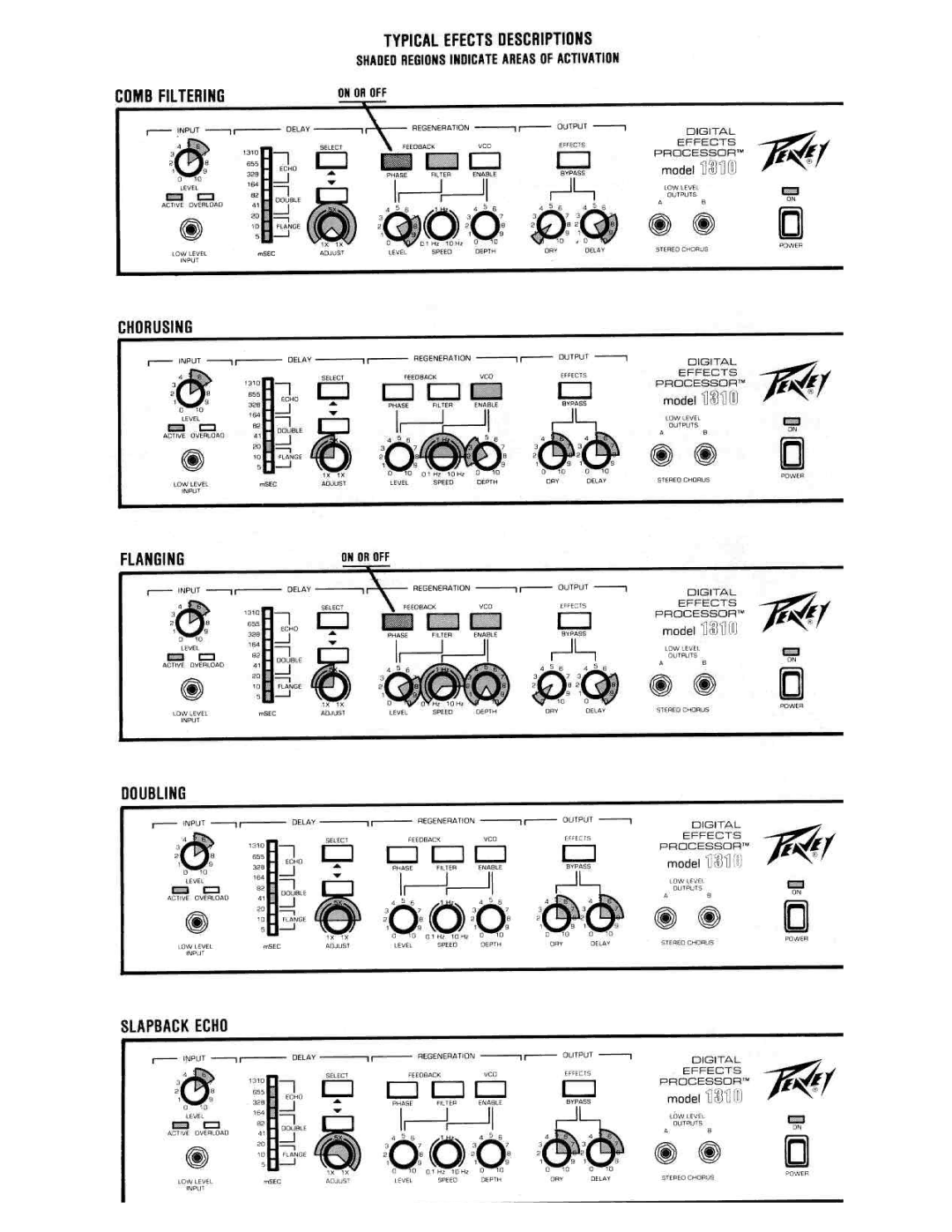 Peavey 2462 manual 