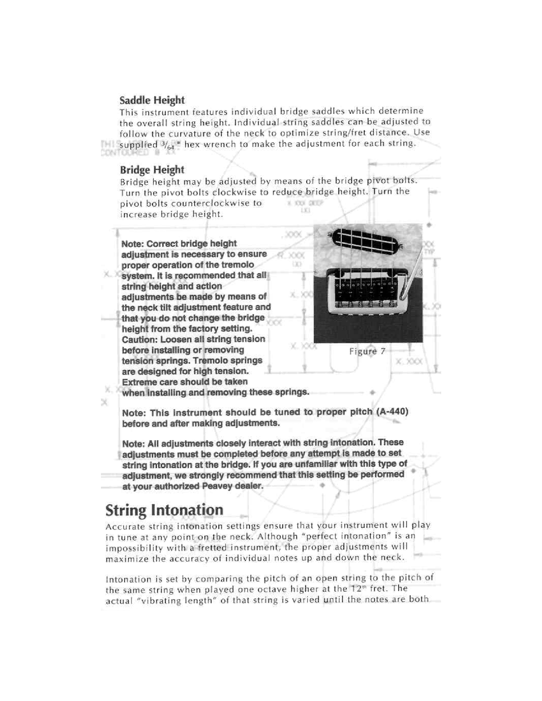 Peavey Axcelerator manual 