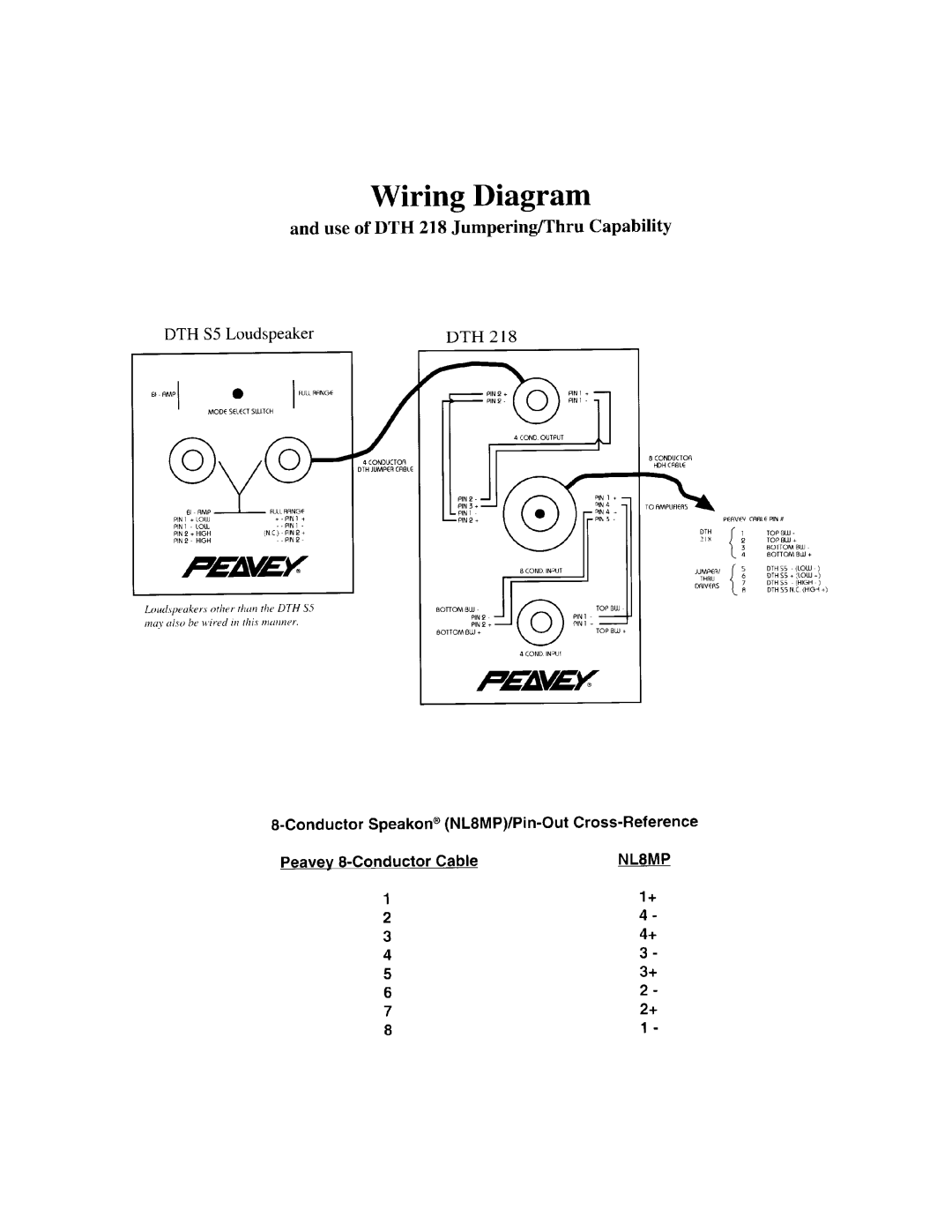 Peavey DTH 218 manual 