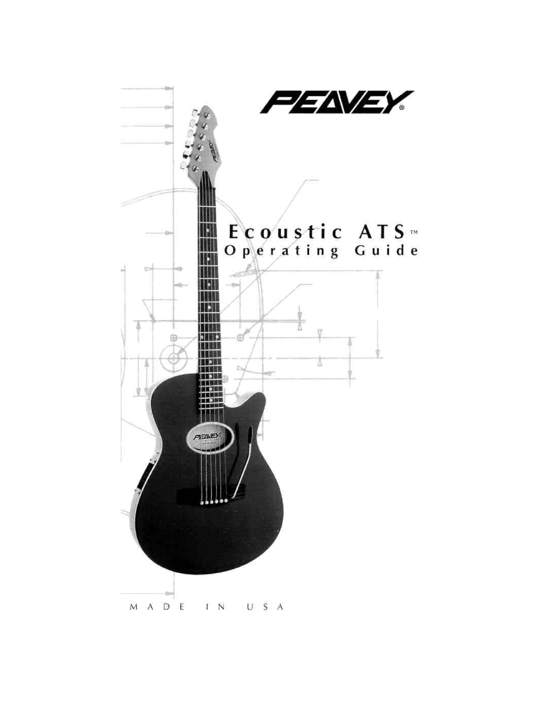 Peavey Ecoustic manual 