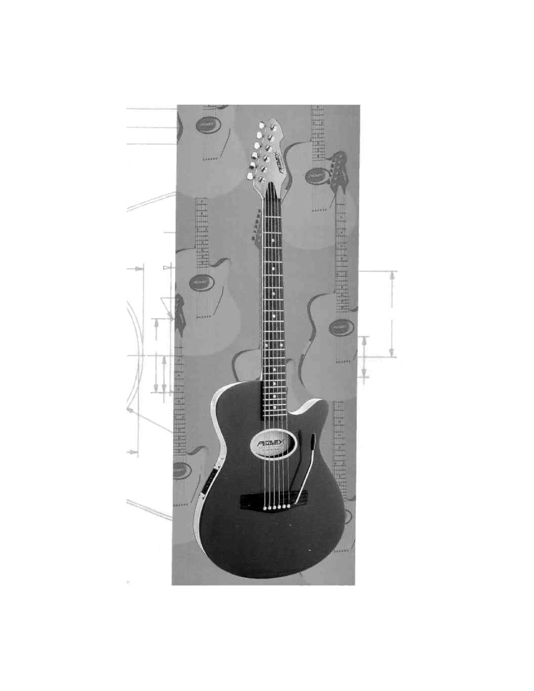 Peavey Ecoustic manual 