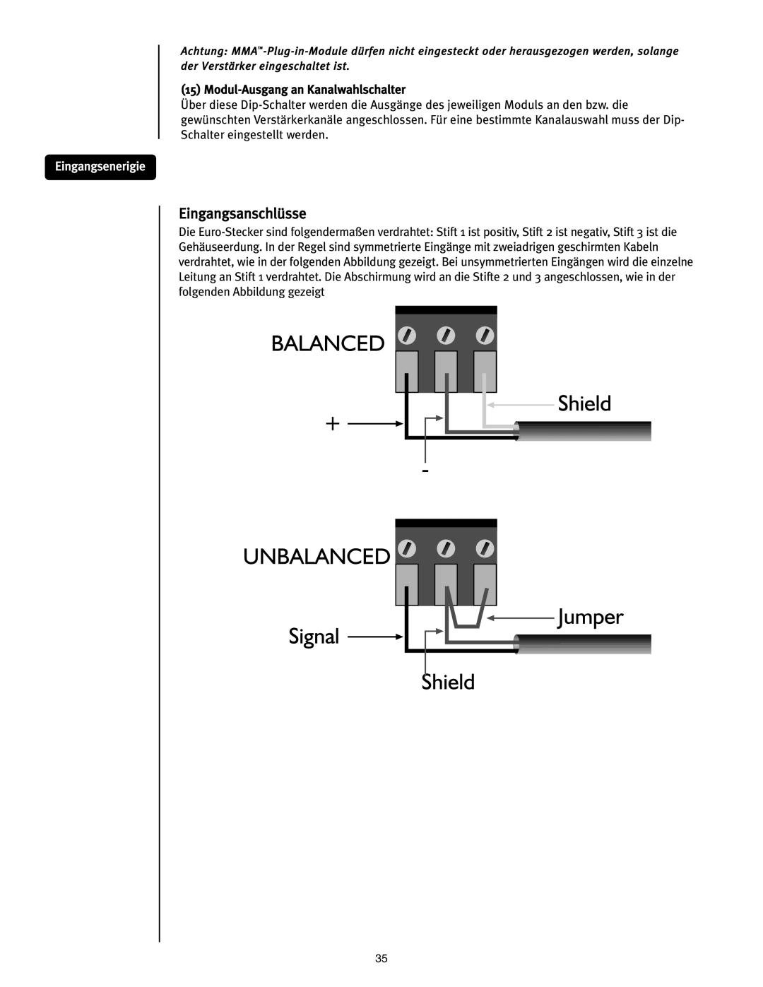 Peavey ICS 4200 user manual Eingangsanschlüsse 