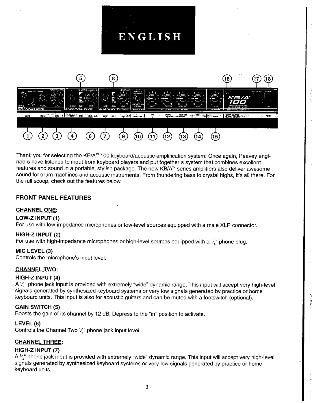 Peavey KB/A 100 manual 