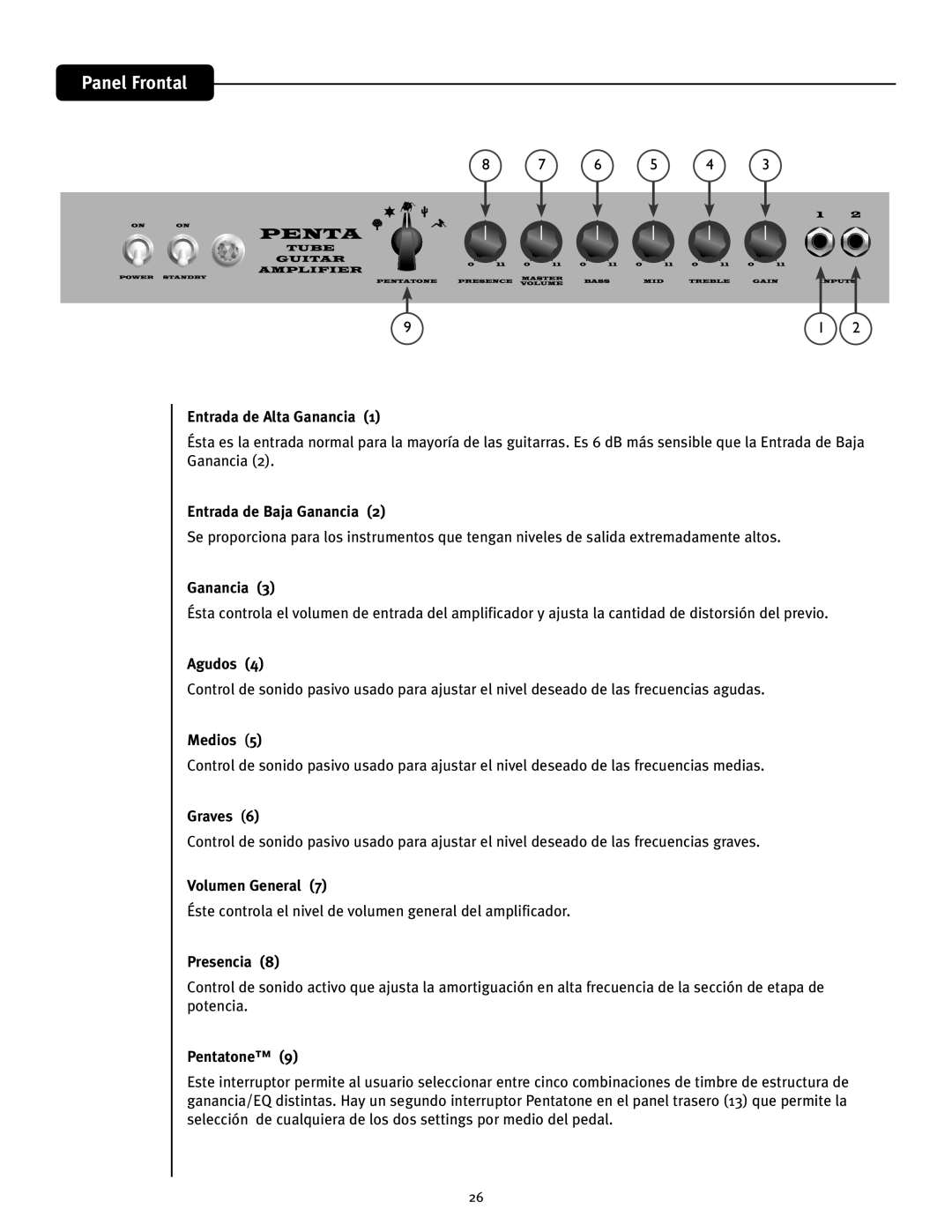 Peavey Penta Tube Amplifier owner manual Panel Frontal 