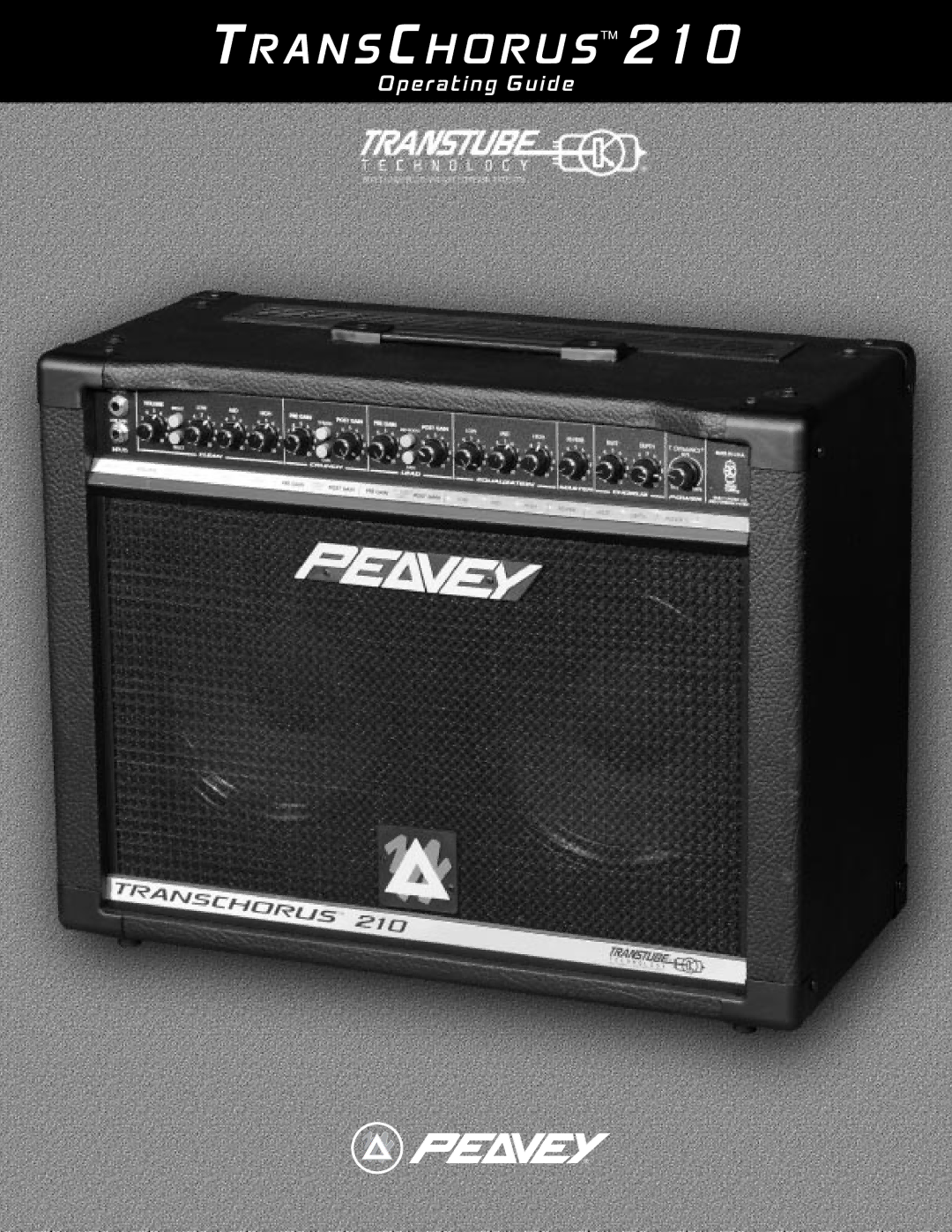 Peavey TransChorus 210 manual A N S C H O R U S 2 1 