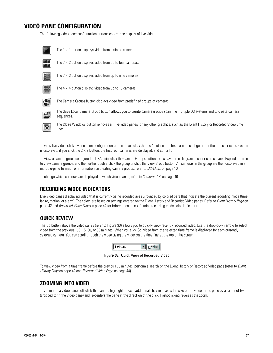 Pelco DS NVS manual Video Pane Configuration, Recording Mode Indicators, Quick Review, Zooming Into Video 