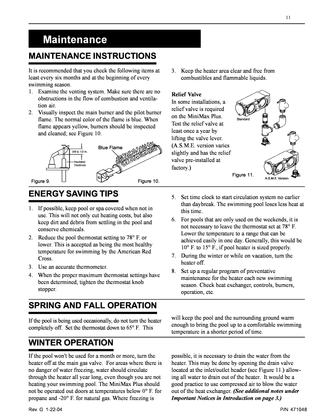 Pentair 100 Maintenance Instructions, Energy Saving Tips, Spring And Fall Operation, Winter Operation, Relief Valve 