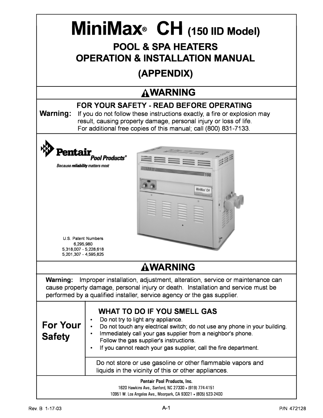 Pentair Appendix, MiniMax CH 150 IID Model, For Your Safety - Read Before Operating, What To Do If You Smell Gas 