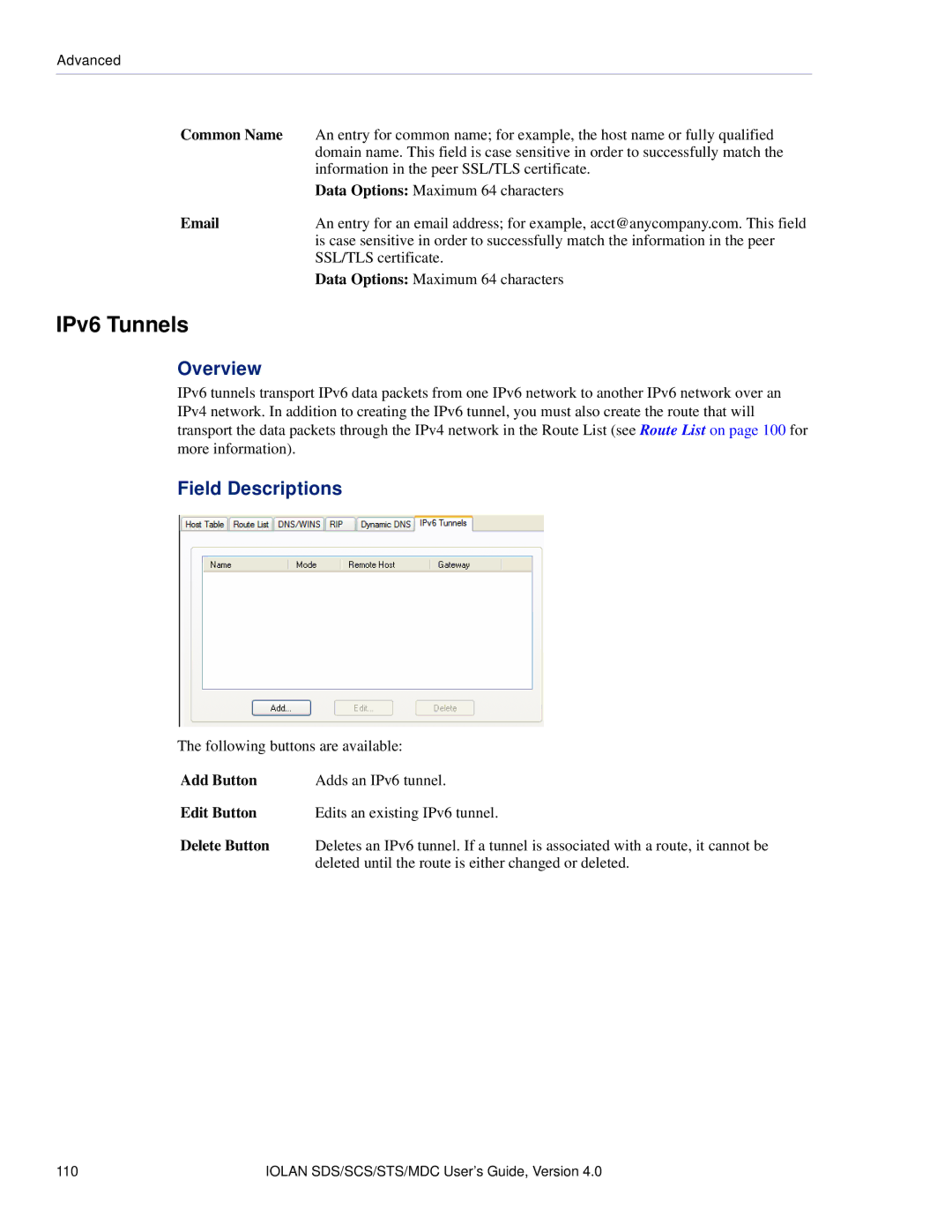 Perle Systems 5500161-40 manual IPv6 Tunnels, Common Name 