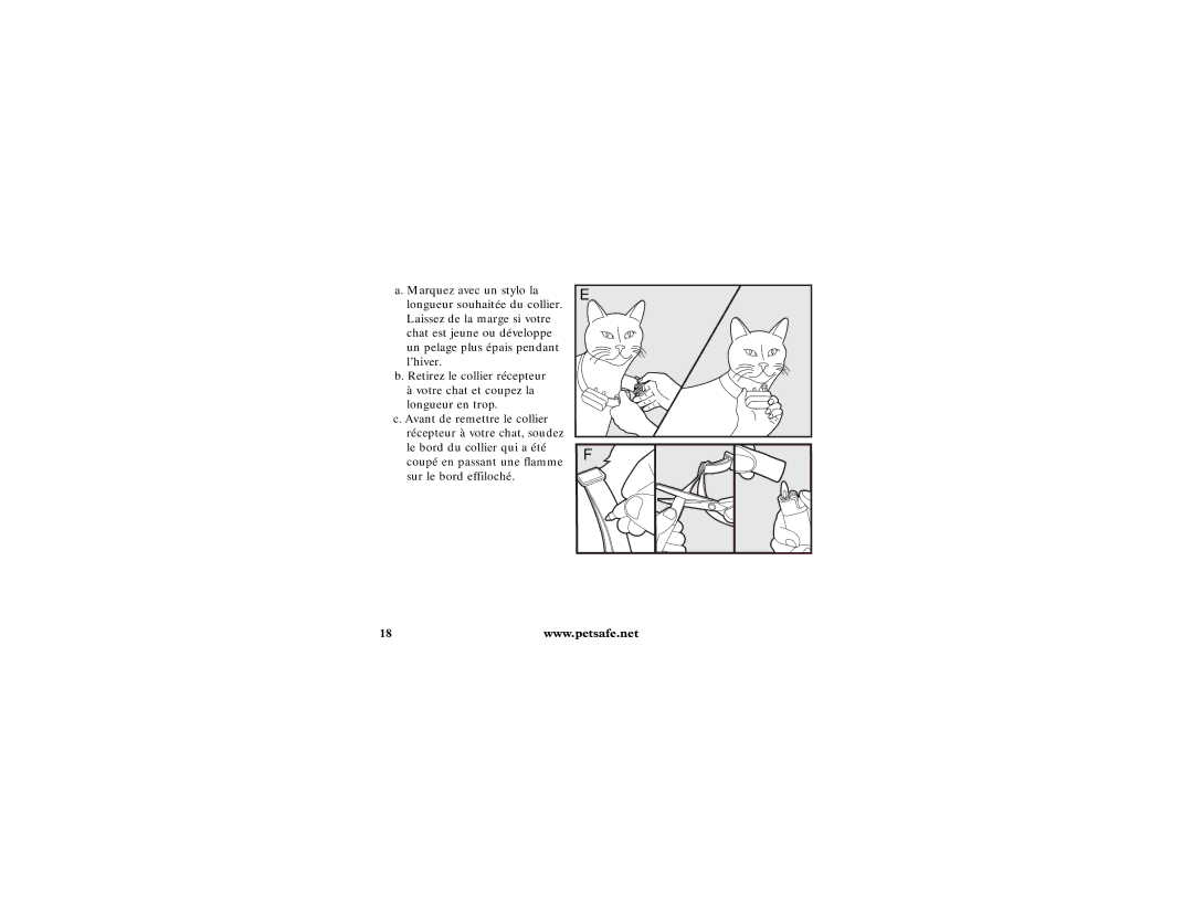 Petsafe Extra Receiver manuel dutilisation 