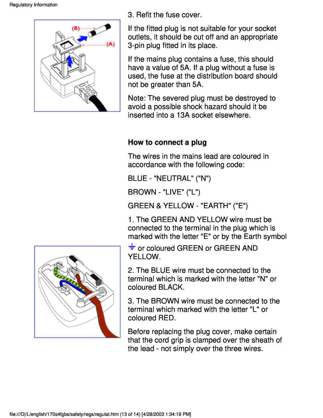 Philips 170S4FS, 170S4FG user manual How to connect a plug 
