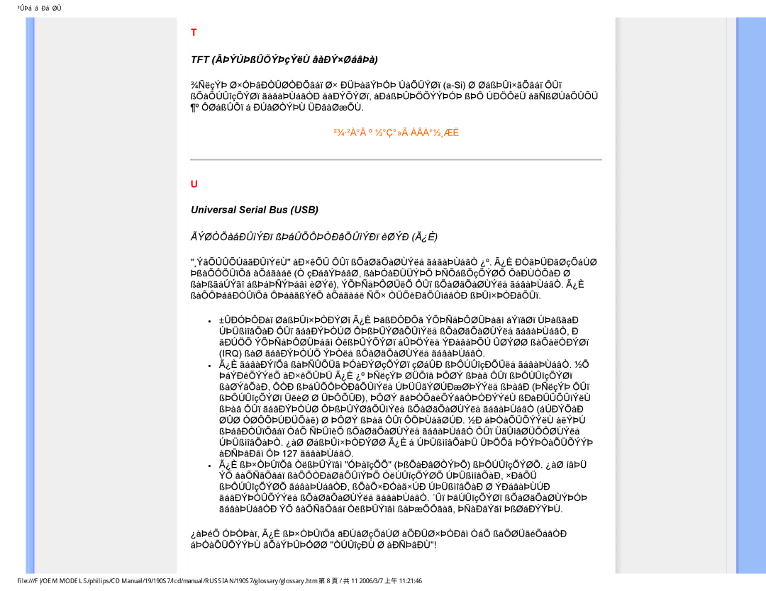 Philips 190S7FG user manual TFT ÂÞÝÚÞßÛÕÝÞçÝëÙ âàÐÝ×ØáâÞà, Universal Serial Bus USB 