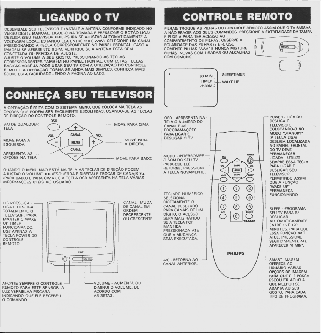 Philips 20 PT 120A, 14 PT 110A manual 