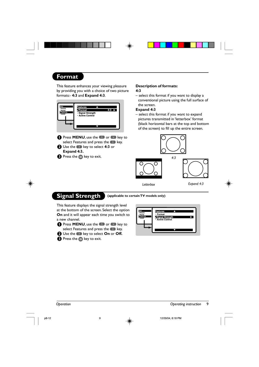 Philips 21PT3324, 21PT2325, 21PT2115 manual Format, Description of formats, Expand, Operation 