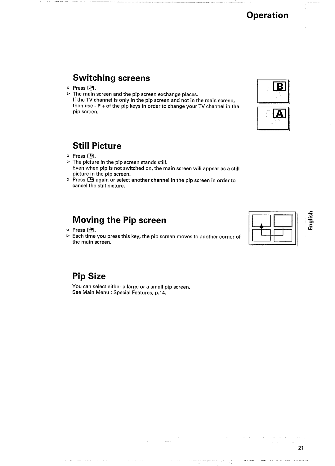 Philips 25PT802A/05 manual 