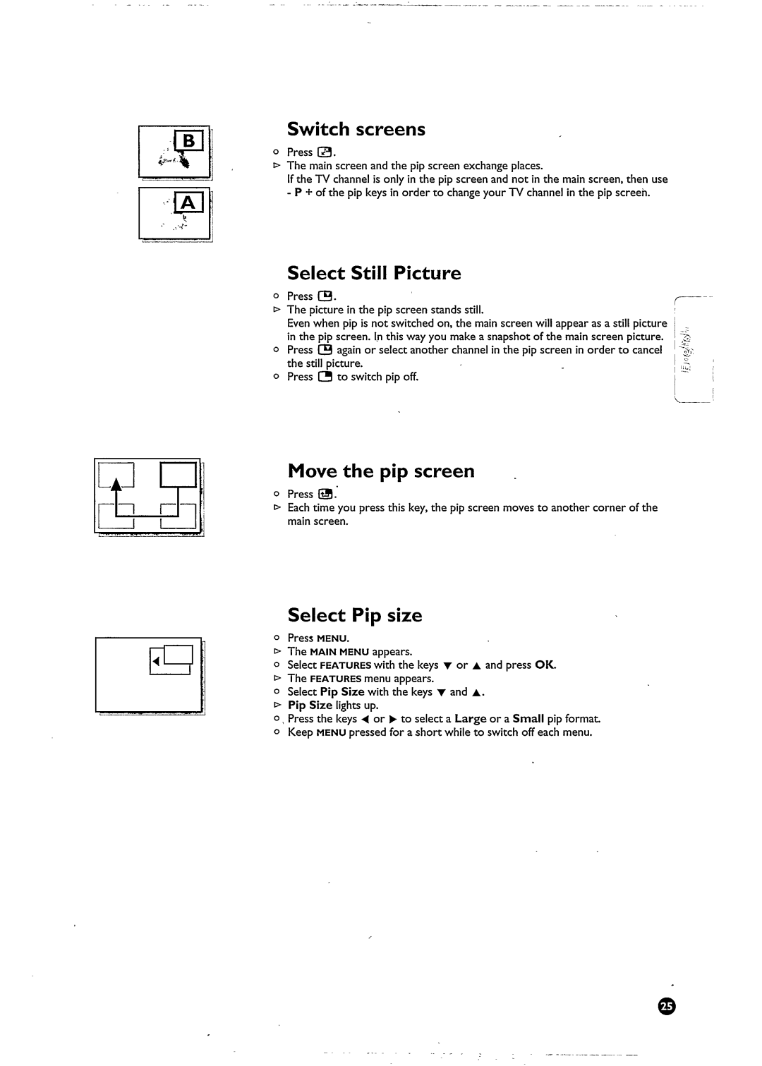 Philips 25PT9001/58 manual 