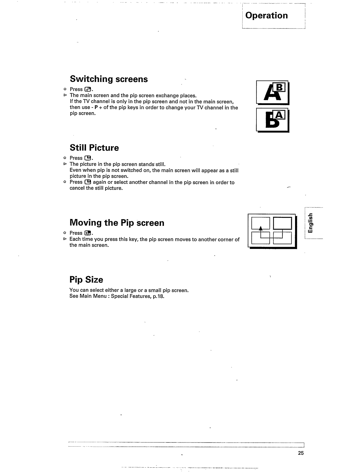 Philips 25PT900B manual 