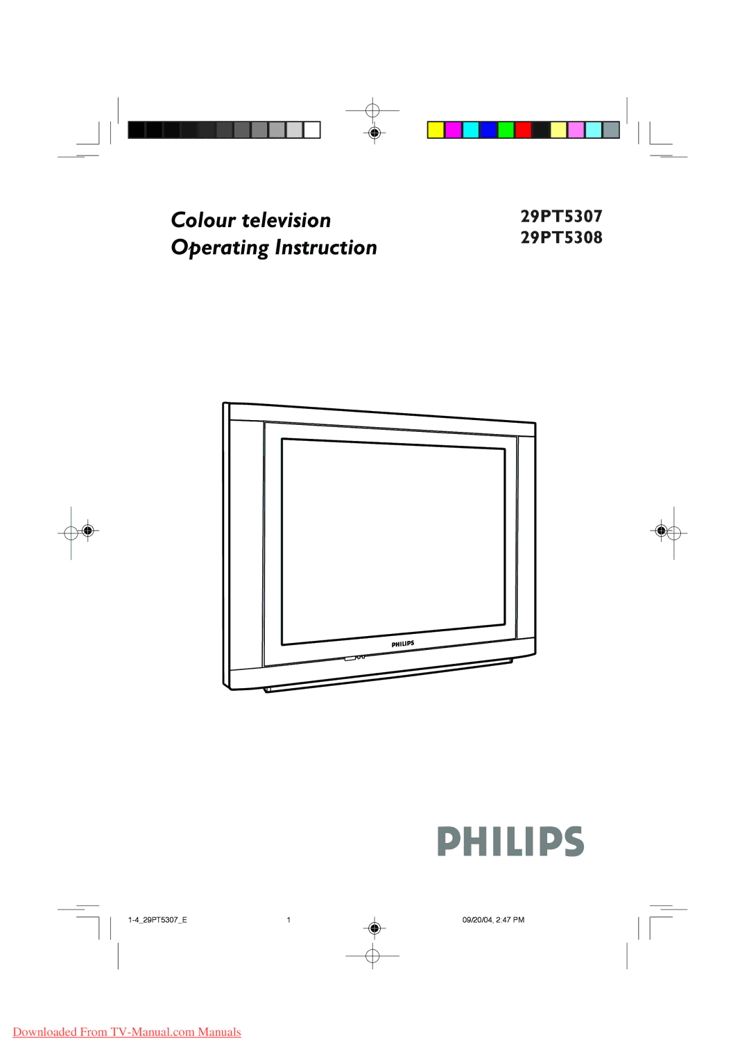 Philips 29PT5308 manual Colour television 