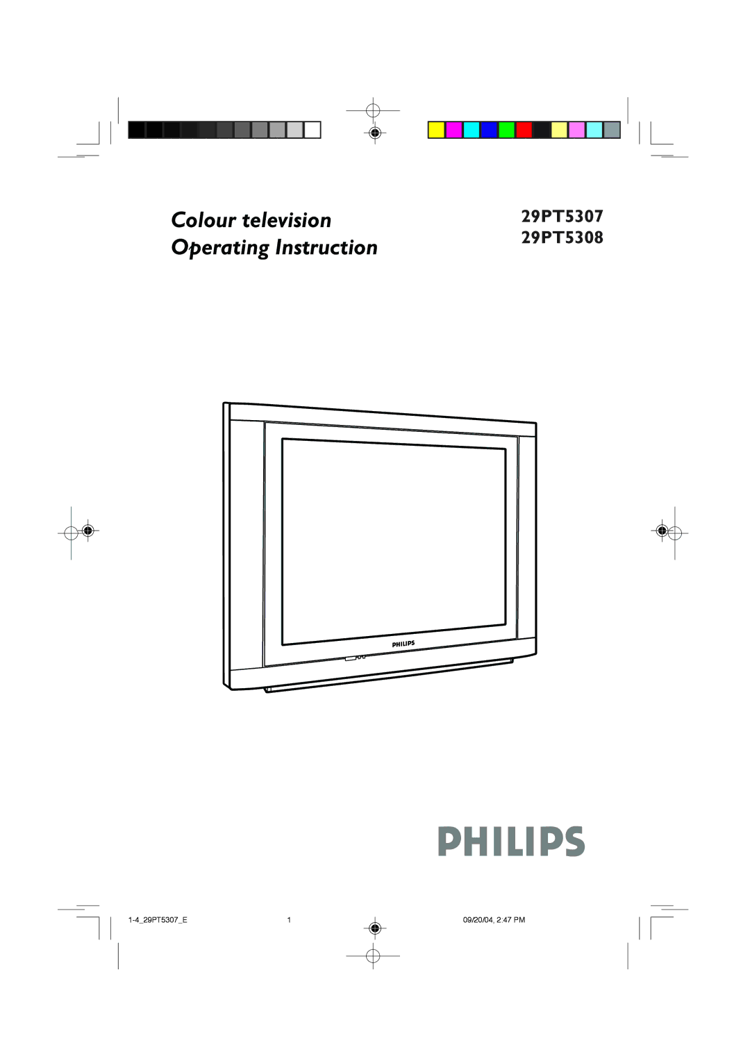 Philips 29PT5308 manual Colour television 