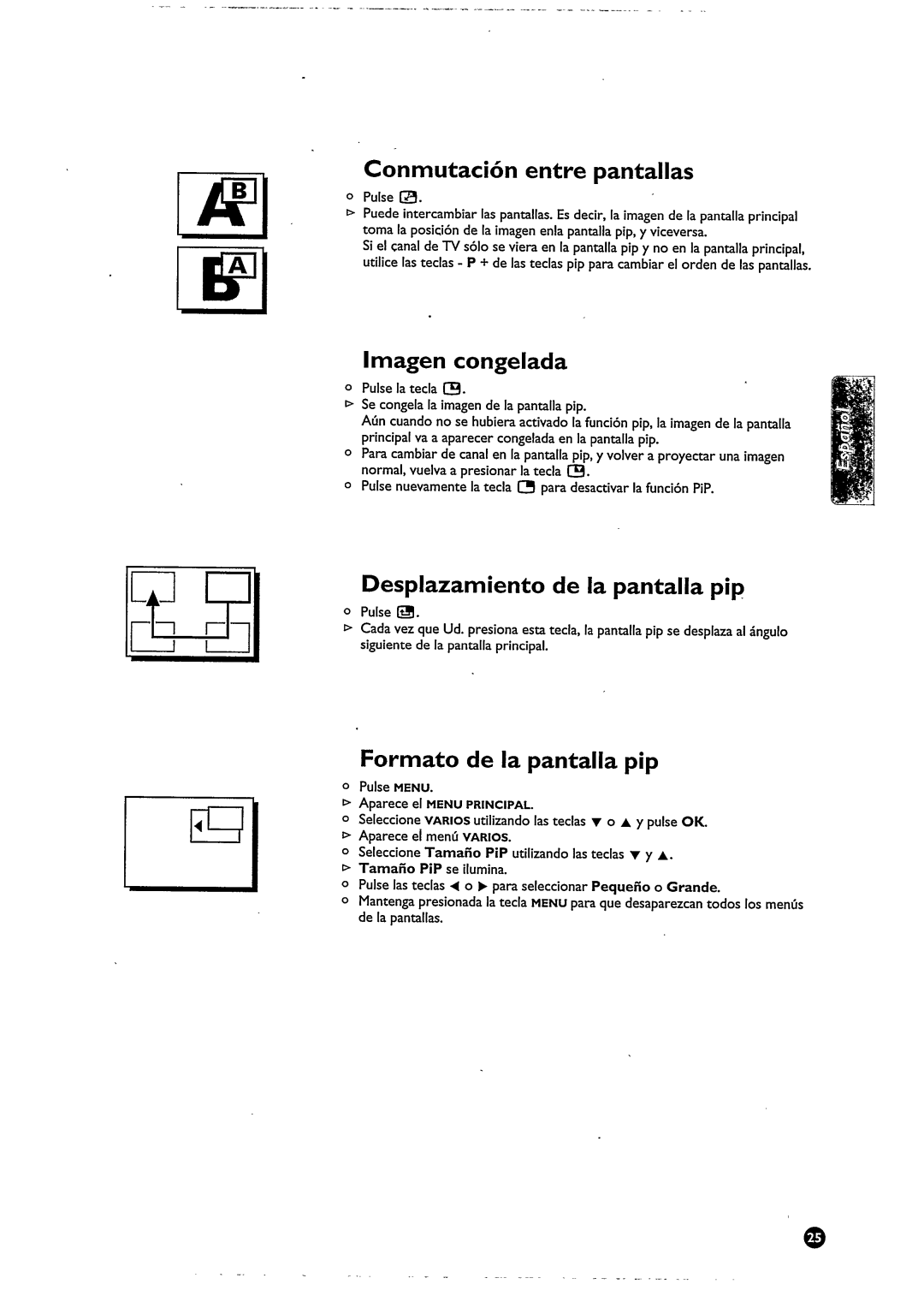 Philips 29PT9021 manual 