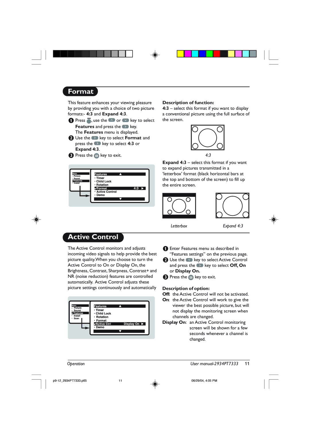 Philips 29PT7333/93R, 34PT7333 user manual Format, Active Control, Description of option 