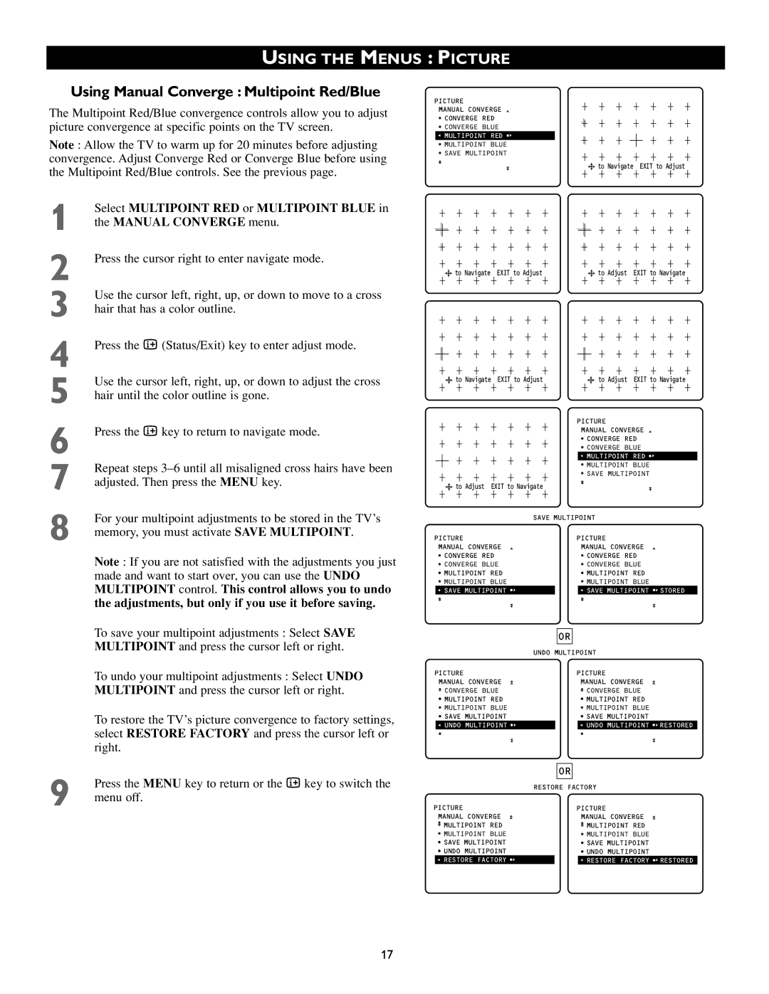 Philips 43PP8541, 50PP8541 manual Using the Menus, Using Manual Converge Multipoint Red/Blue, Picture 