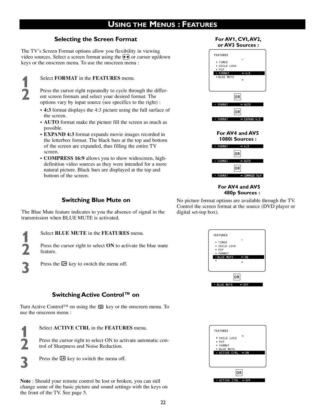 Philips 50PP8541, 43PP8541 manual Selecting the Screen Format, Switching Blue Mute on, Switching Active Control on 