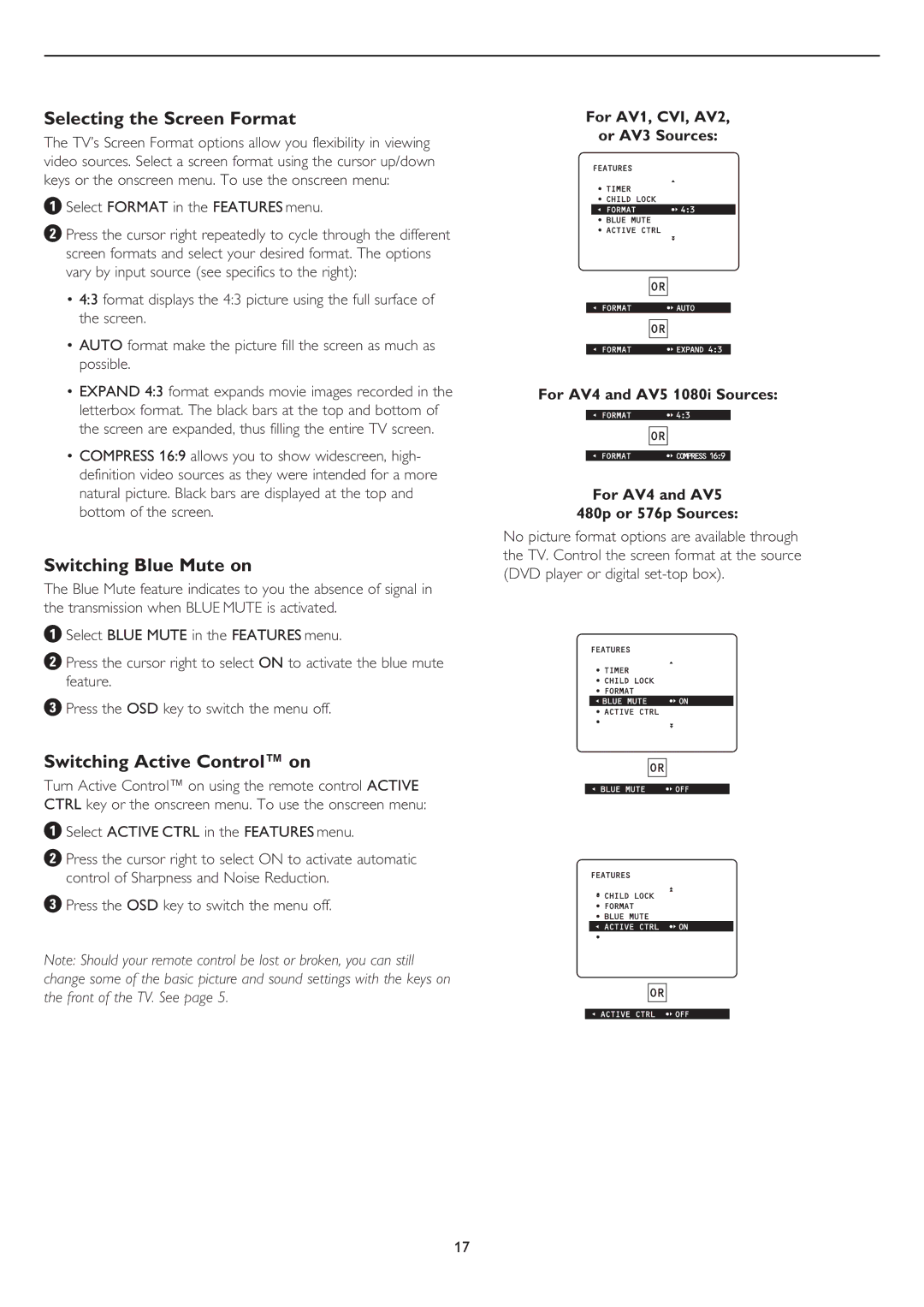 Philips 43PP8545, 50PP8545 user manual Selecting the Screen Format, Switching Blue Mute on, Switching Active Control on 