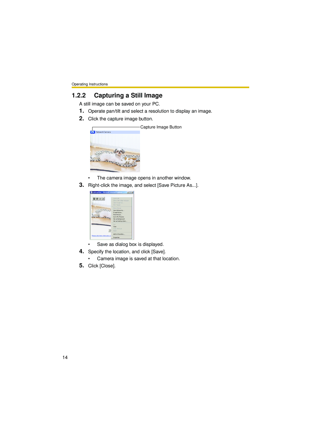 Philips BL-C10 operating instructions Capturing a Still Image 