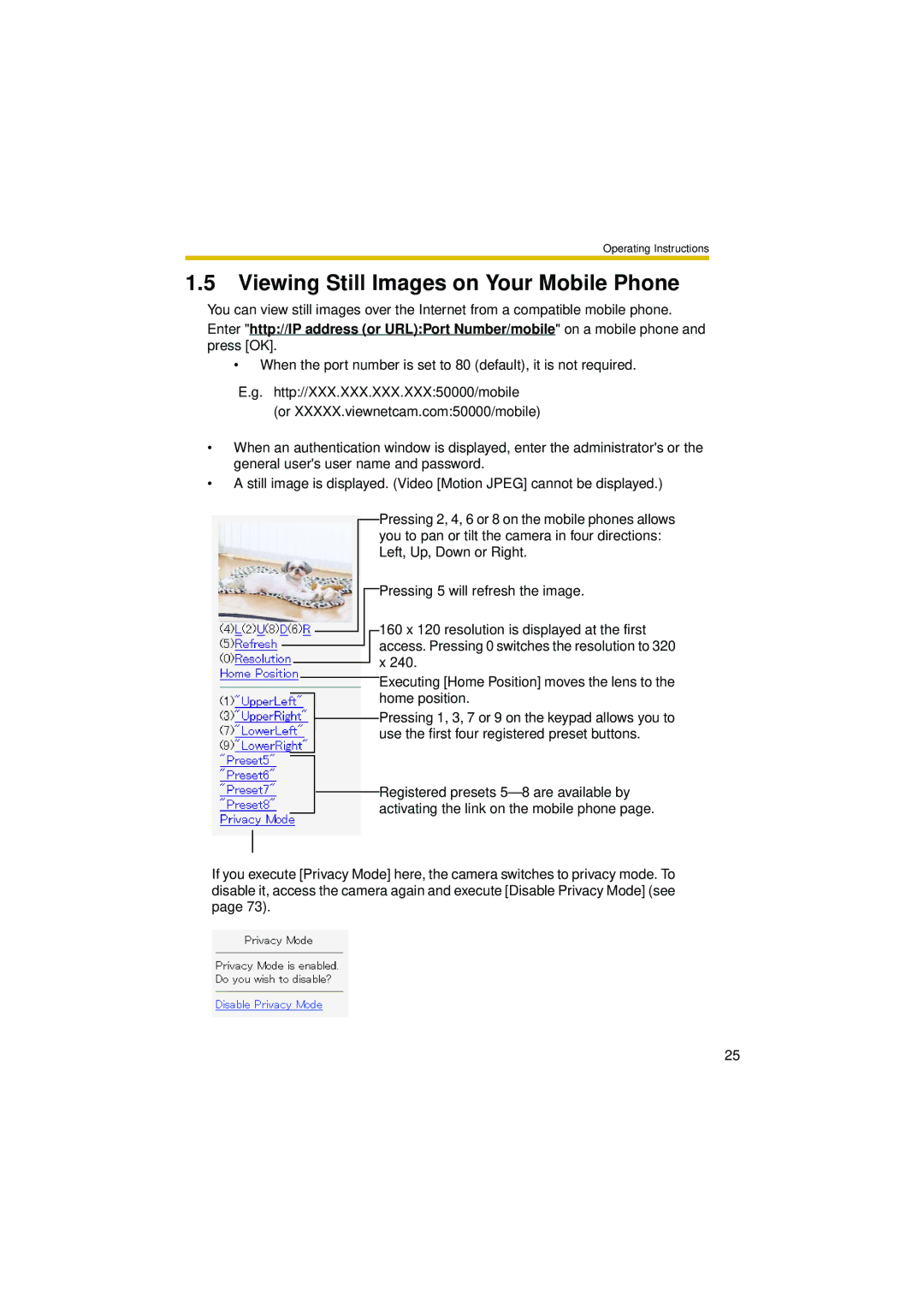 Philips BL-C10 operating instructions Viewing Still Images on Your Mobile Phone 